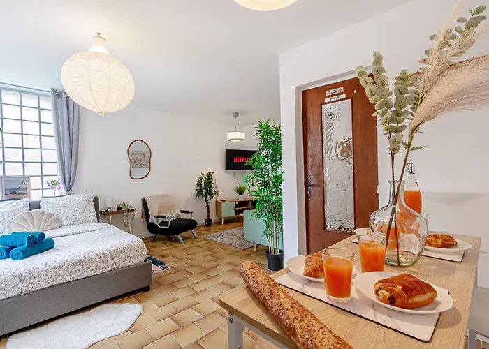Grand Studio 34M2, Paris Disneyland, Aeroport Cdg, Parc Asterix, Gare De Chelles Gournay